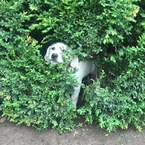 Meet your Posher, Jacob